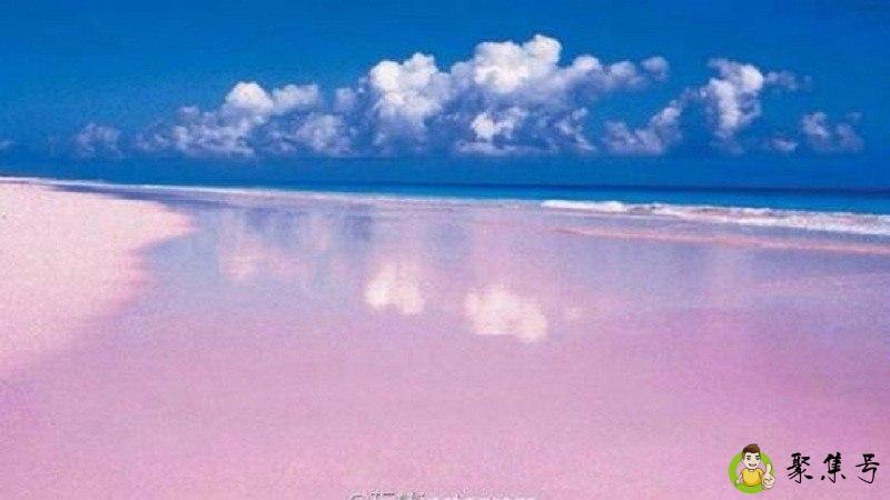 粉色海滩在哪
