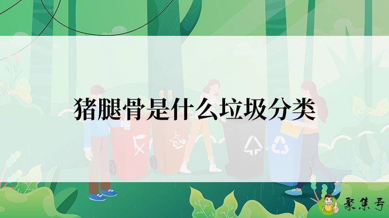 猪腿骨是什么垃圾分类