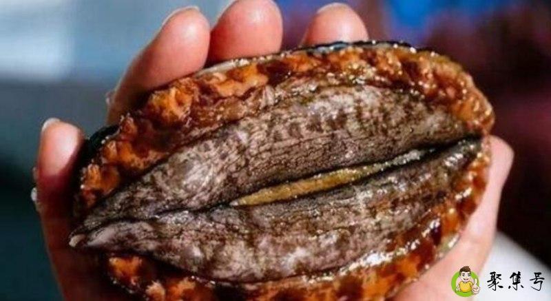 两头鲍三头鲍什么意思