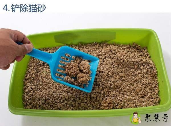 混合了猫砂的猫屎属于什么垃圾