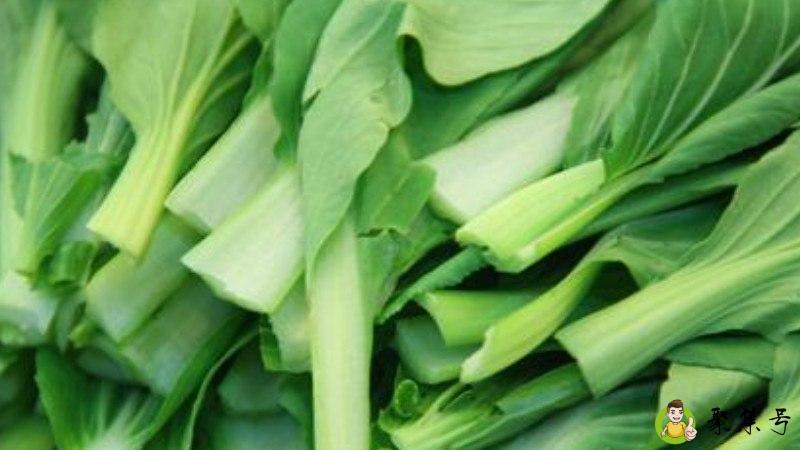 青菜和蔬菜的区别