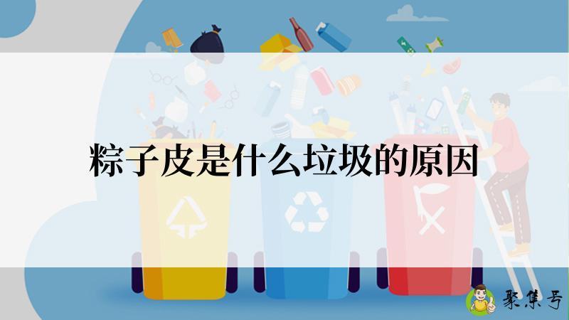 粽子皮是什么垃圾的原因