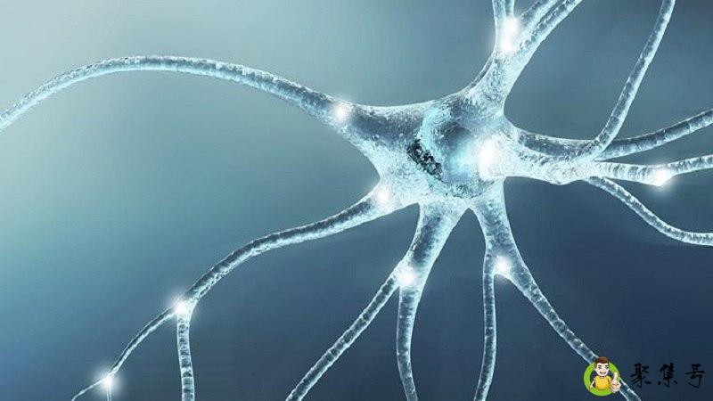 费洛蒙和荷尔蒙的区别