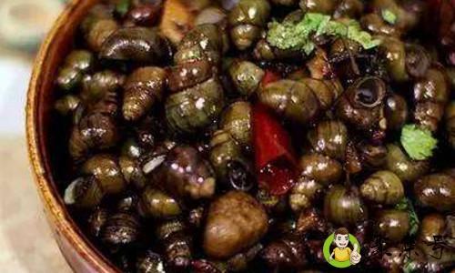 田螺和螺丝有什么区别