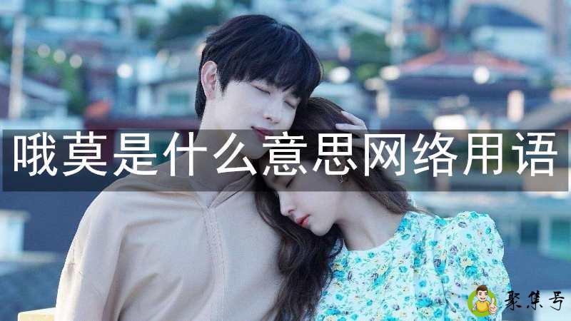 哦莫是什么意思