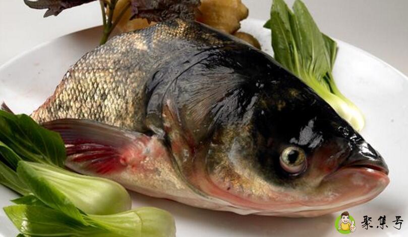 胖头鱼和花鲢鱼的区别