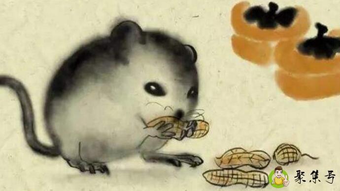 夫妻肖指哪些生肖