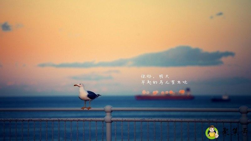 朱镜辞颜花辞树什么意思