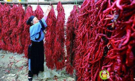 四川为什么吃辣