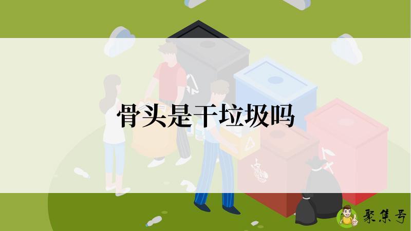 骨头是干垃圾吗