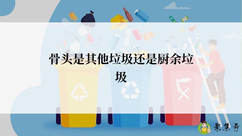 骨头是其他垃圾还是厨余垃圾