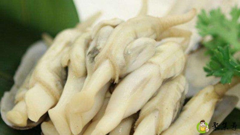 蛏子和蚬子的区别