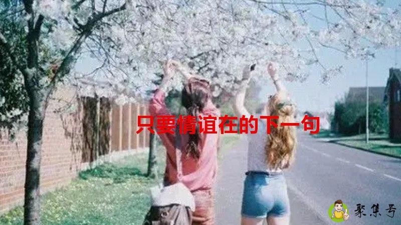 只要情谊在的下一句