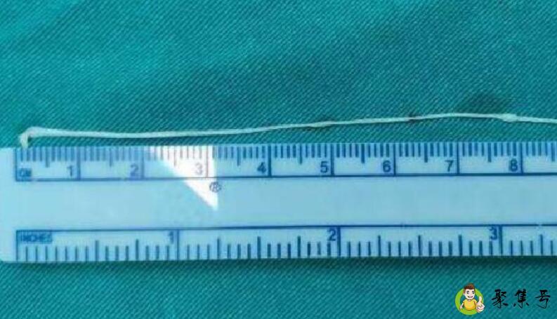 米,分米,厘米单位换算