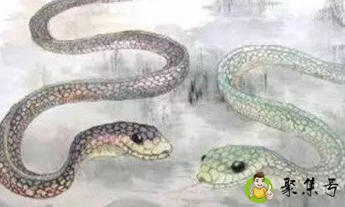 潜心修行是什么生肖