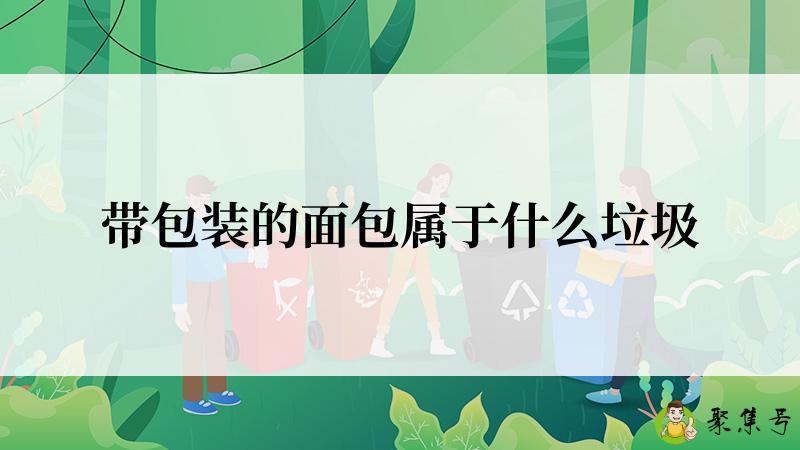 带包装的面包属于什么垃圾