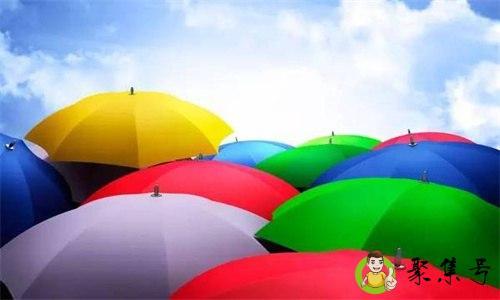 雨伞十骨和十二骨区别