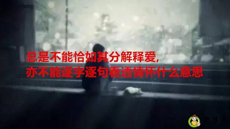 总是不能恰如其分解释爱,亦不能逐字逐句看透情怀什么意思