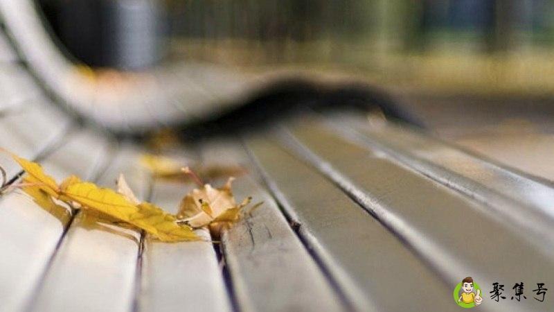 一生一世一双人,半醉半醒半浮生是什么意思