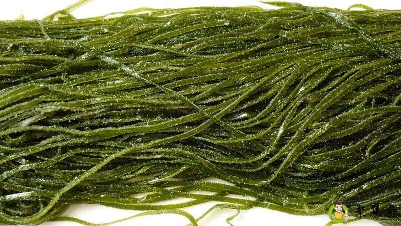 海带和海带根的区别