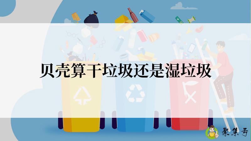 贝壳算干垃圾还是湿垃圾