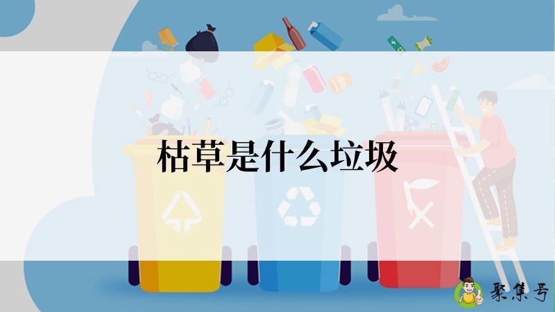 枯草是什么垃圾