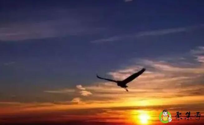 头脑睿智行事果断风风火火留下标记是什么意思