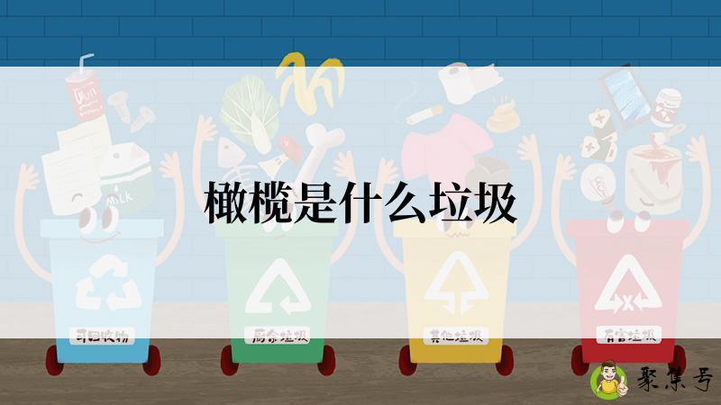 橄榄是什么垃圾