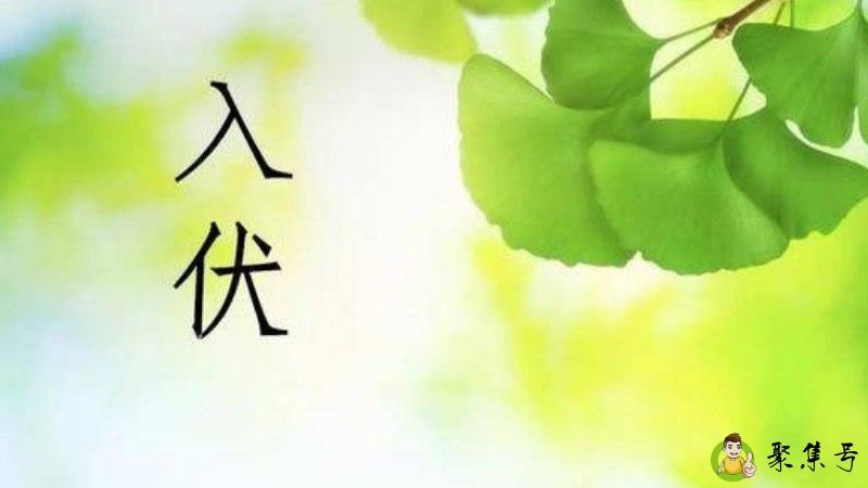 头伏是怎么算出来的