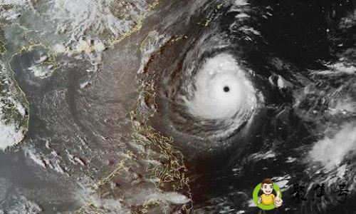 台风和飓风的不同特点