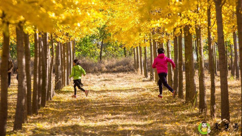 作陪与坐陪这两个词有什么区别