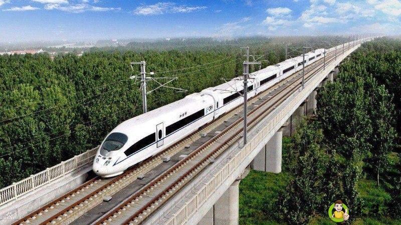 金粉成员优先什么意思