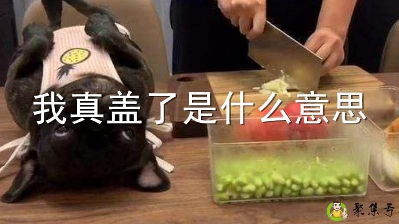 我真盖了是什么意思