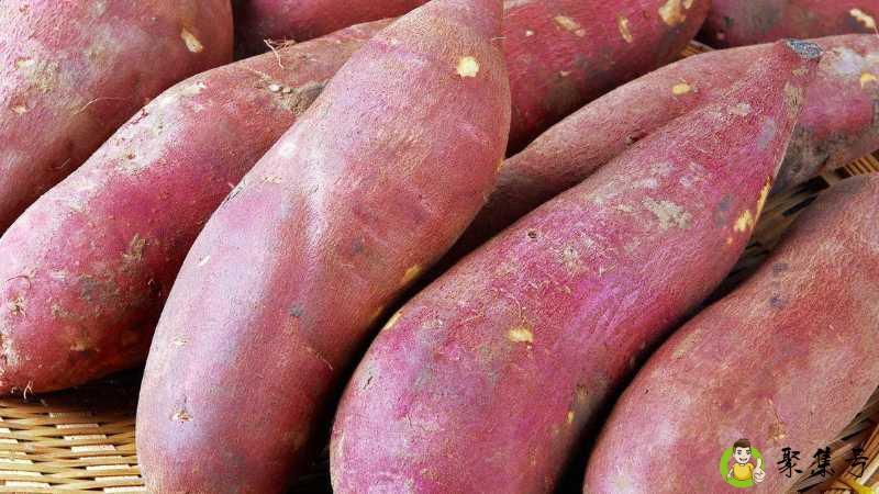 红薯和番薯的区别