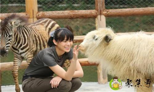 人跟动物的根本区别是