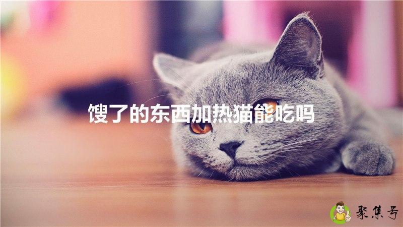 馊了的东西加热猫能吃吗