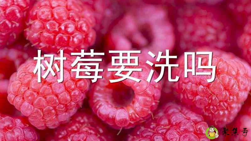 树莓要洗吗