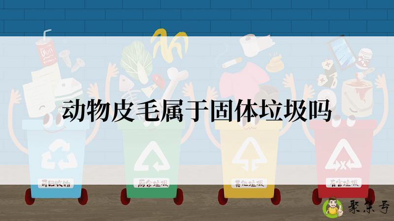 动物皮毛属于固体垃圾吗