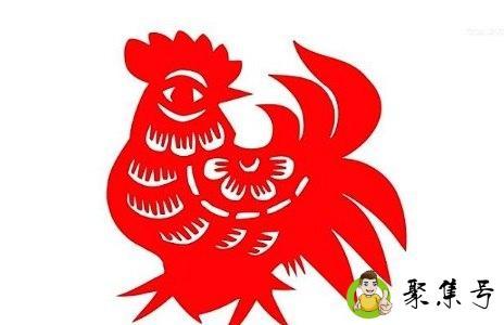 美代表什么生肖