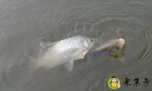 春钓滩是什么意思