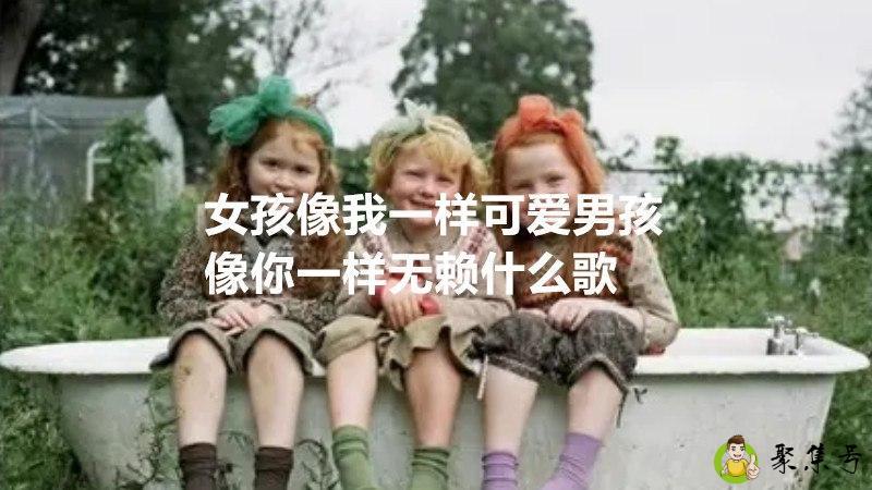 女孩像我一样可爱男孩像你一样无赖什么歌
