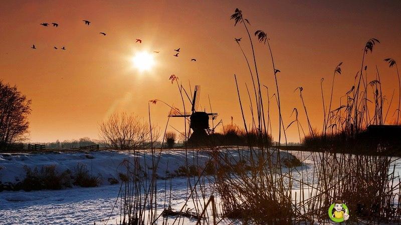 法国资产阶级革命的价值观是什么