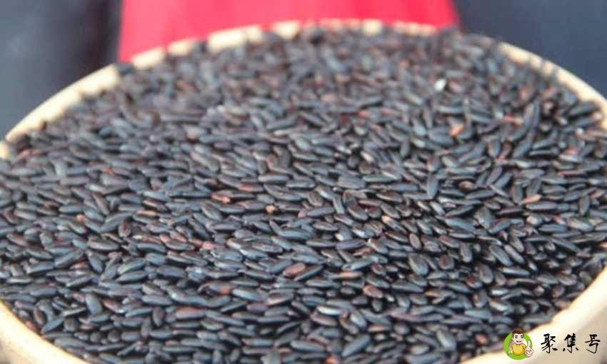 野米和黑米的区别是什么