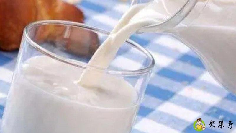 鲜牛奶和纯牛奶的区别