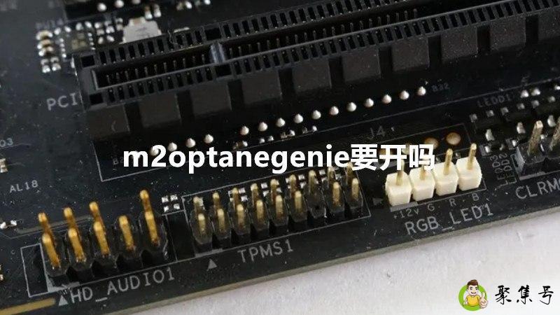 m2optanegenie要开吗