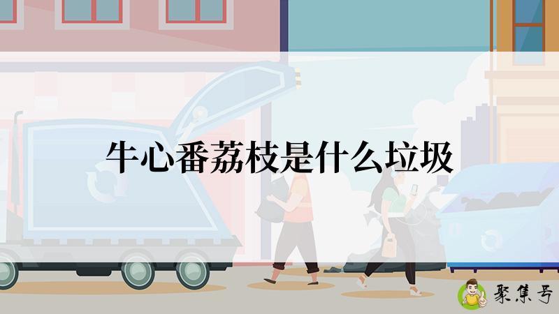 牛心番荔枝是什么垃圾