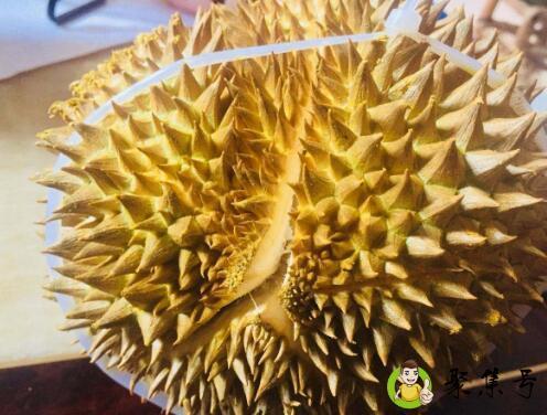 榴莲酒味是怎么回事