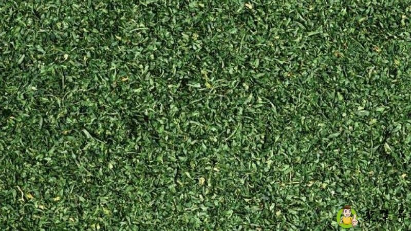 什么是蒸腾作用