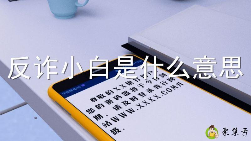 反诈小白是什么意思