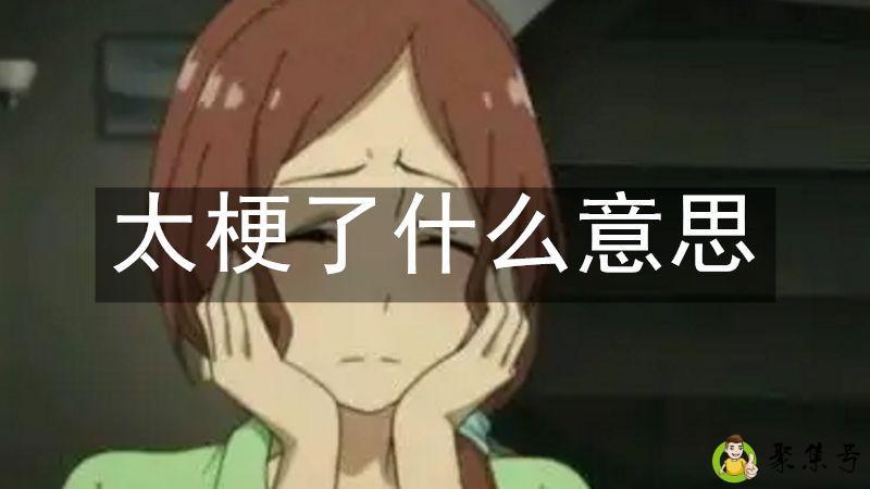 太梗了什么意思